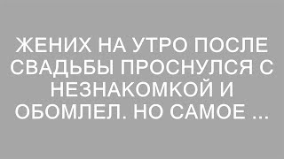 Жених на утро после свадьбы проснулся с незнакомкой и обомлел. Но самое ...