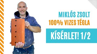 Eláztatott tégla kísérlet  1/2! Weber 946. utólagos vízszigetelés