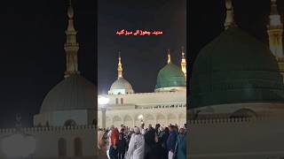 مدینہ چھوڑ آئے ہیں |Madina Roza Rasool ki best vedio | Latest 2024 #live #religion #viral #bayan