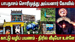 Sorimuthu Ayyanar Temple Papanasam | சொரிமுத்து அய்யனார் கோவில் பாபநாசம் #SorimuthuAyyanar #tnhrce