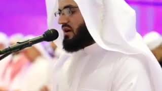 رعد الكردي