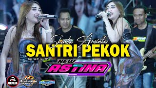 SANTRI PEKOK || SHINTA ARSINTA GOYANG ESEK ESEK || NEW ASTINA DHEHAN AUDIO