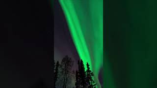 Aurora Borealis & Australis. How are Northern and Southern lights formed? #shorts