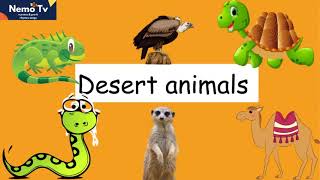 Desert Animals for Children - Desert Animal Sounds for Kids to Learn - Fox, Camel & Coyote