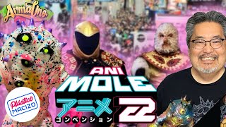 La mole 2024 🔥art toys, lucha libre y mucho más en Ani mole