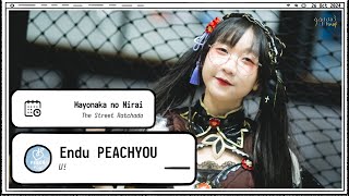 241026 Endu PEACH YOU - U! - Mayonaka no Mirai The Street Ratchada 4k Fancam