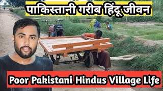 Poor Hindus life in Village || Pakistani Hindus life || Hari Ram vlogs