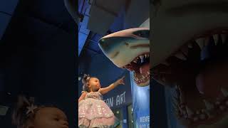 Visiting Odysea Aquarium