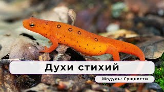 «Элеме́нтум» — духи стихий