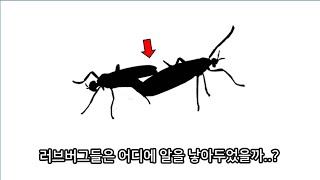 앞으로 더 커지고, 많아집니다.. 곤충 대발생의 충격적인 이유 ㄷㄷ