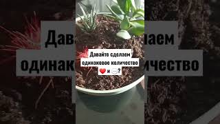 не портить!Подпишись пожалуйста, (мой телеграм: clip-tip)