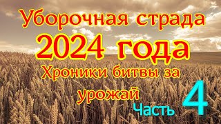 Уборочная страда 2024 года.  День за днем . 14 -19 сентября 2024 года.