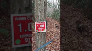 Piney Knob Trails Hike.  Rhodo Coaster Trail. November 20 2023.  Part 3.