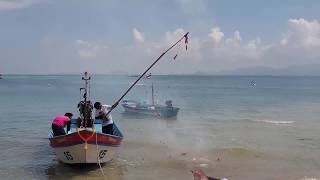 Thailand - Koh Phangan - Wat Paa Sang Tham Temple - Thong Sala Boat Race - 1080p Full HD V1