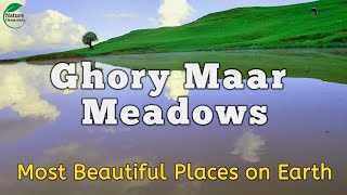 A tour of the world's most beautiful places|Meadows|relaxing music|#nature @BENATURALRekha