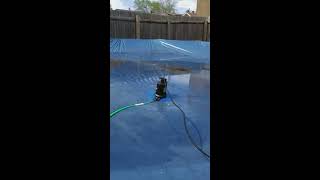 Everbilt One Eighth HP Pool Cover Pump Seeds Review