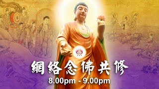 【同步】净土宗网络念佛【第1564天】+ 开示视频《名号磁铁》 29-06-2024 Online Recitation Session（晚上8pm-9pm (GMT+8))【打开CC字幕】