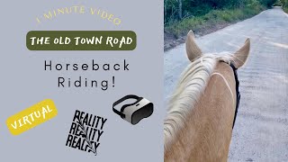 🐴 Come for a ride with us | Birds~Wind ~Nature | No Music #horse #asmr #TheOldTownRoad