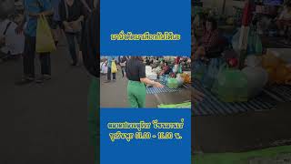 มานั่งเลือกนั่งคัดกันได้ #ตลาดปลาจตุจักร  #ปลาสวยงาม  #ตลาดปลาลานเร่