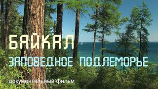 Байкал. Чивыркуйский залив. Ушканьи острова. Байкальская нерпа.Nature of Russia.