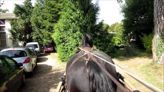 Paris Western Show 2013 - Balade en « Buckboard »