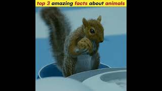 top 3 amazing facts about animals in hindi #short