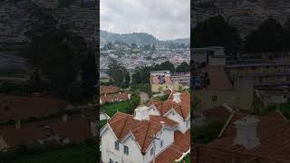 Beauty of OOTY #ooty #nature #green #tamil #hills #trecking #beautiful #climate #trees #kodaikanal