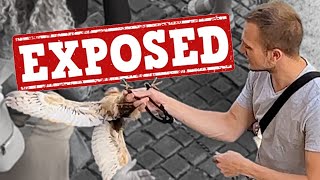 Animal Abuse Just to Please Tourists - EXPOSED