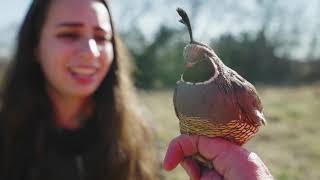 Wildlife and Conservation Science (BS), Texas A&M University-Commerce