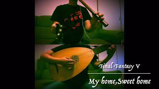 Final Fantaty 5 “My home, Sweet home” - Taborpipe & Lute cover