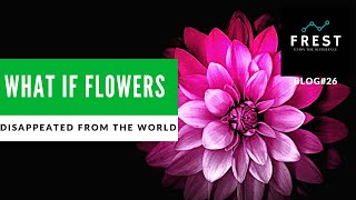 Life Without Flowers | Do You Know The Importance Of Flowers In Human Life?