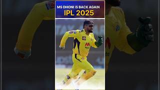 Ms Dhoni Will be Play IPL 2025 #shortsfeed #cricket #trending #viralvideo