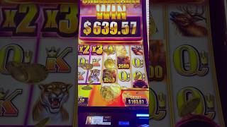 Insane Wild Wild Buffalo Bonus Win! Max Bet Multiplier Bonus Round Jackpot!