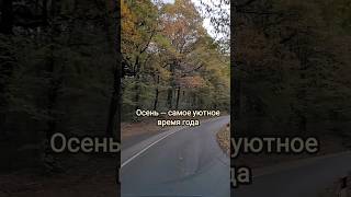 🍂 Осень — самое уютное время года #guramiways