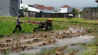 Traktor Sawah Yanmar Lanjut dan Selesaikan Singkal lahan luas