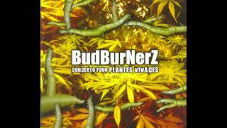 BudBurNerZ - Destroy The Evil Power !