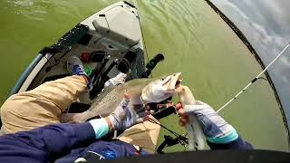 Casting by Faith Lures on over slot Speckled Trout