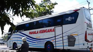 Pahala Kencana Habis Nyolar