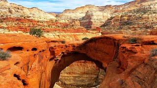 Exploring The Breathtaking Landscapes Of America's National Parks | Through The Lens