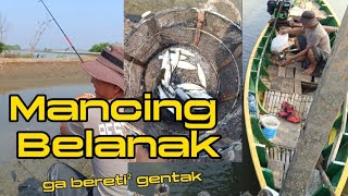 Mancing Ikan Belanak