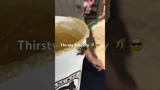 THIRSTY BEE WANTS MY DRINK !!!