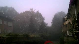 The Fog - Der Nebel des Grauens in Westrich (Halloween)