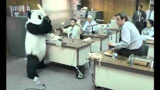 Panda Breaking The Keyboard!