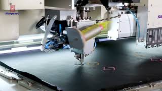 Richpeace Automatic Perforation（special hole） +Embroidery+Sewing rotating head Machine