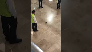 Mexican Police Arrest Crab in Puerto Vallarta Airport