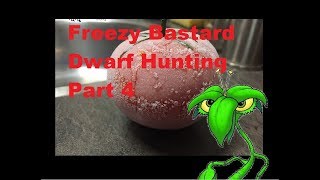 Freezy Bastard  Dwarf Tomato Plants, DWARF HUNTING Part 4