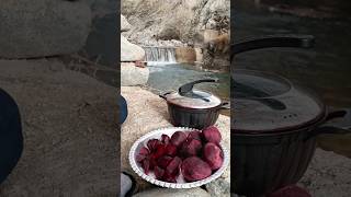 Rural Life; pickled beets recipe #shorts #nature