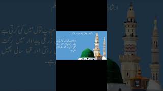 IRSHAD E NABVI S.A.W IN URDU PART-VII| ارشادات نبوی صلی اللہ علیہ والہ وسلم |