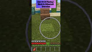 placing 1 block everyday day 44