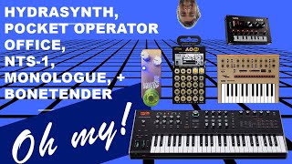 Hydrasynth, Pocket Operator Office PO 24 through a fuzz pedal, Korg Monologue and NTS-1 – Oh my!